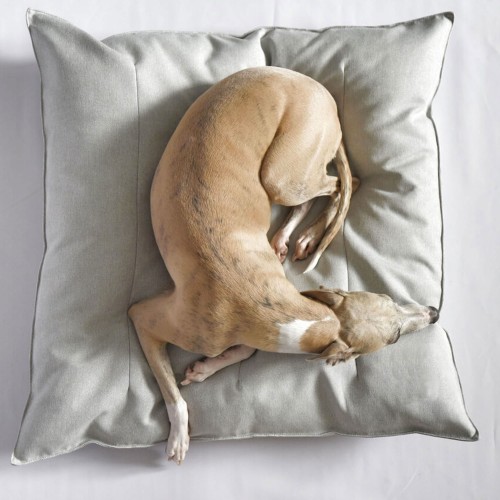Coussin design confortable pour chien tissu gris clair, Hoina - Bagane